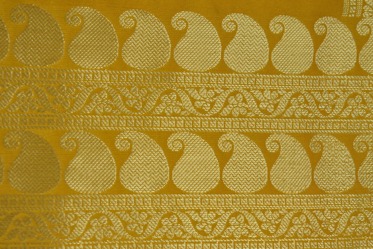 Gold Zari Floral Creeper Motifs with Small Mango Border - Yellow