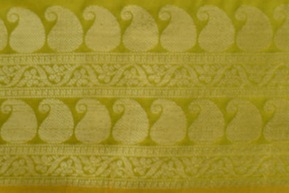 Gold Zari Floral Creeper Motifs with Small Mango Border - Parrot Green