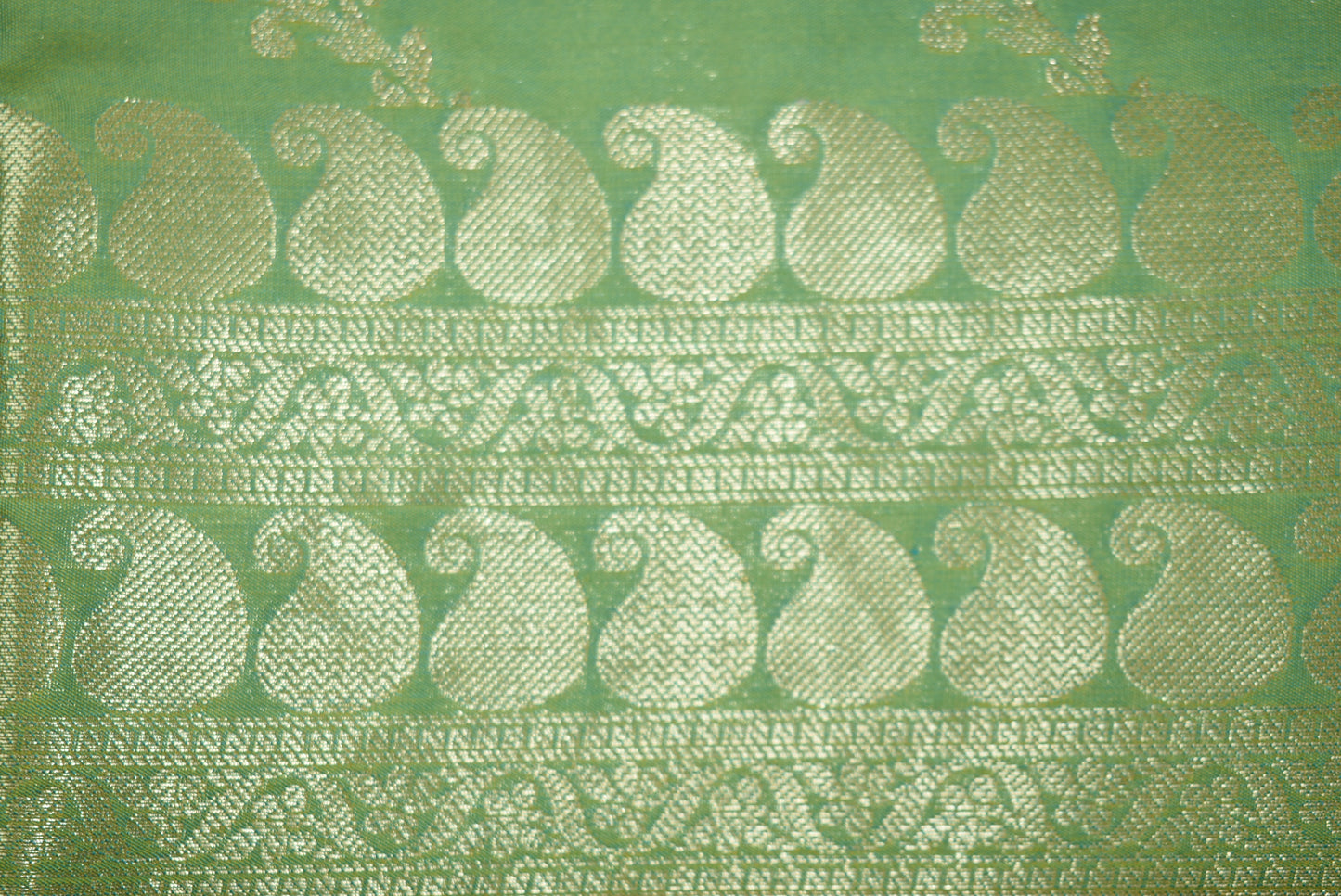 Gold Zari Floral Creeper Motifs with Small Mango Border - Mint Green with Gold tone
