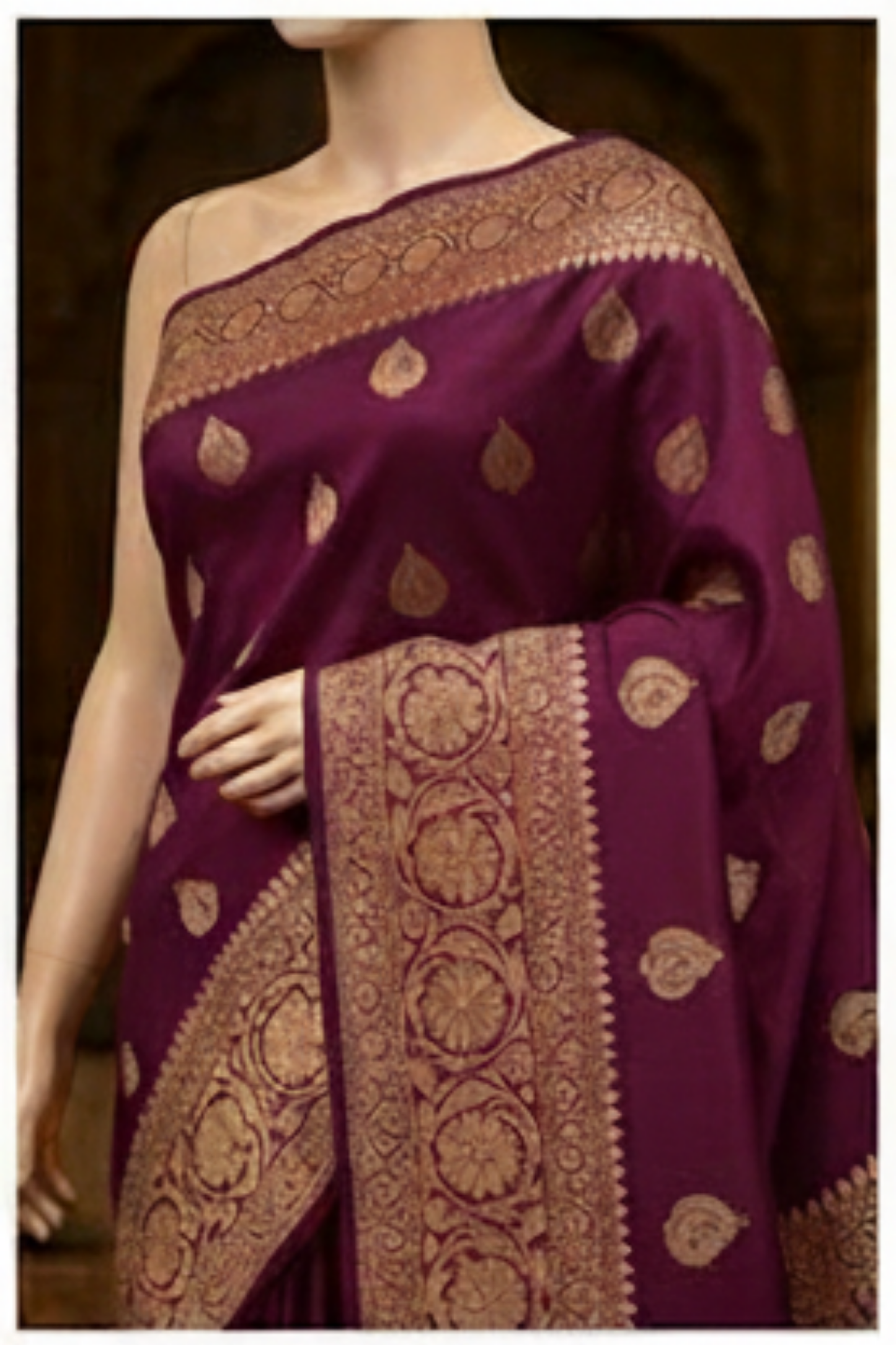 Golden Peacock like Butta and Floral Border  - Plum/Deep Wine