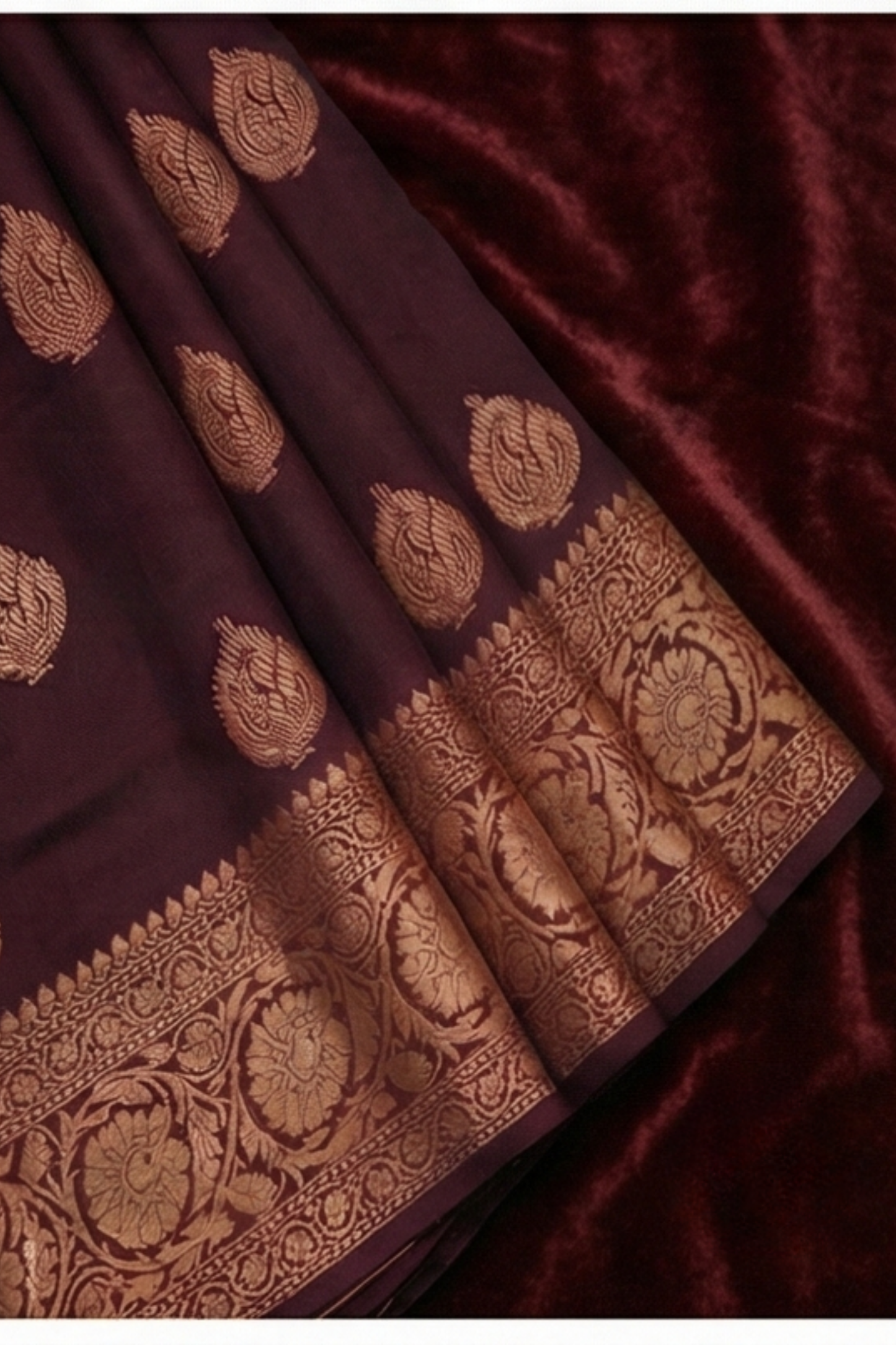 Golden Peacock like Butta and Floral Border  - Maroon Brown
